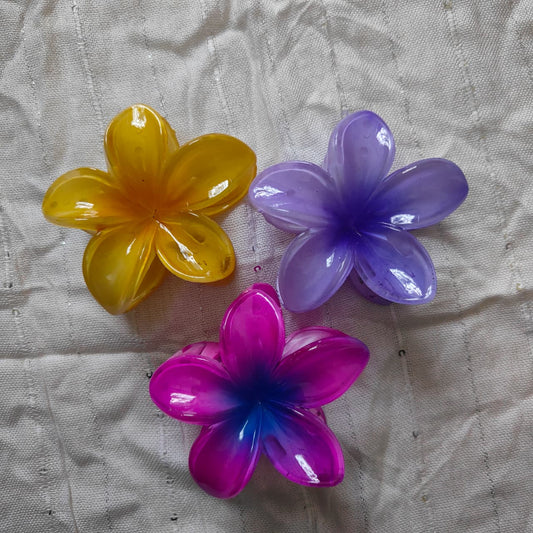 Zariva Resin Flower Hair Clips
