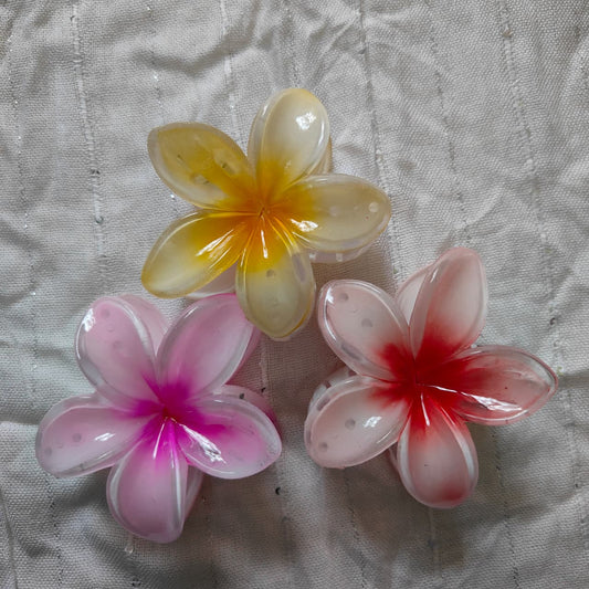 Zariva Resin Flower Hair Clips